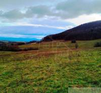 Nové Mesto nad Váhom Agrarian and forest land Sale reality Nové Mesto nad Váhom