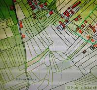 Nové Mesto nad Váhom Agrarian and forest land Sale reality Nové Mesto nad Váhom