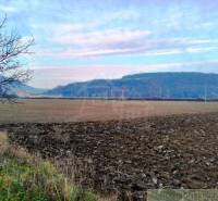 Trenčianske Bohuslavice Agrarian and forest land Sale reality Nové Mesto nad Váhom