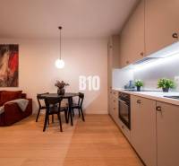 Bratislava - Nové Mesto One bedroom apartment Rent reality Bratislava III