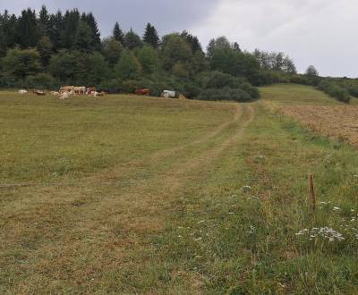 Recreational land, Sale, Žilina, Slovakia