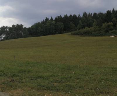 Recreational land, Sale, Žilina, Slovakia