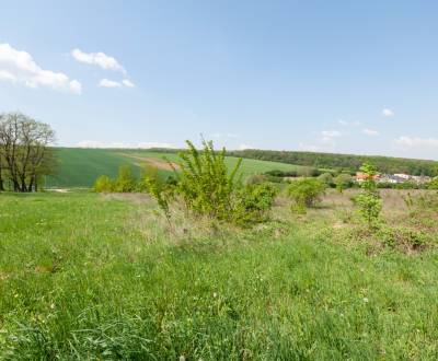 Sale Land – for living, Land – for living, Nitra, Slovakia