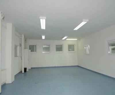 Rent Storehouses and Workshops, Storehouses and Workshops, Bratislava 