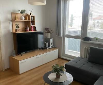 Rent One bedroom apartment, One bedroom apartment, Cukrovarská, Galant