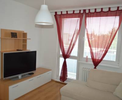 Rent One bedroom apartment, One bedroom apartment, Cukrovarská, Galant