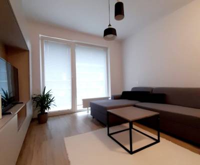 Rent Single studio, Single studio, Zuzany Chalupovej, Bratislava - Pet