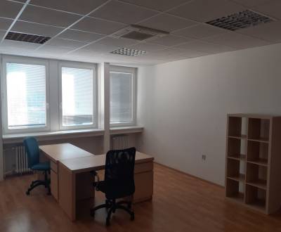 Rent Offices, Offices, Pluhová, Bratislava - Nové Mesto, Slovakia