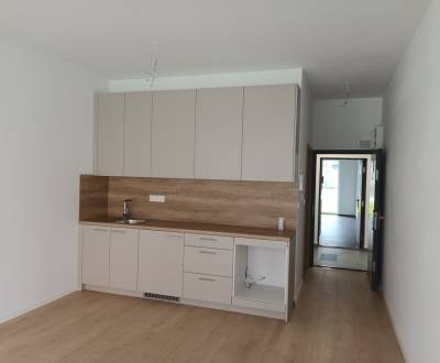 Sale One bedroom apartment, One bedroom apartment, nezadane, Trnava, S