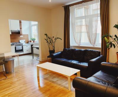 Beautiful spacious 1 bdr apt 72 m2 in the great area of center of city