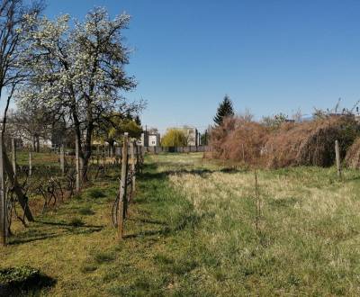 Sale Land – for living, Land – for living, Komárno, Slovakia