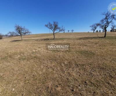 Sale Land – for living, Krupina, Slovakia