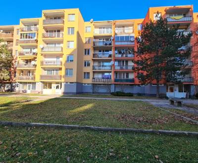 Rent One bedroom apartment, One bedroom apartment, Valová, Piešťany, S