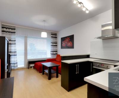 Rent One bedroom apartment, One bedroom apartment, Vlčie Hrdlo, Bratis