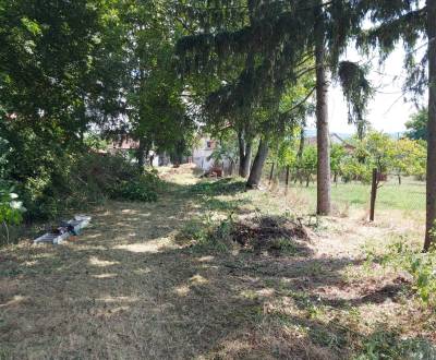 Sale Land – for living, Land – for living, Hlavná, Nitra, Slovakia