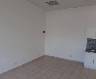 Rent Commercial premises, Commercial premises, Hálkova, Bratislava - N