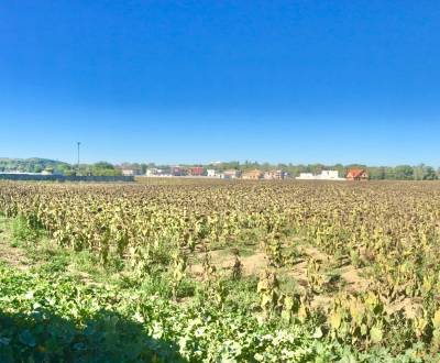 Land – for living, Sale, Piešťany, Slovakia