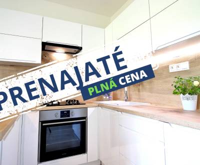 Rent One bedroom apartment, One bedroom apartment, Ďumbierska, Prešov,