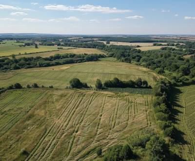 Sale Agrarian and forest land, Agrarian and forest land, Turzovka, Čad