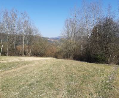 Agrarian and forest land, Horelica, Sale, Čadca, Slovakia