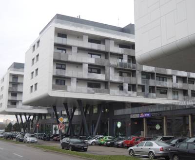 Rent One bedroom apartment, One bedroom apartment, Pajštúnska, Bratisl