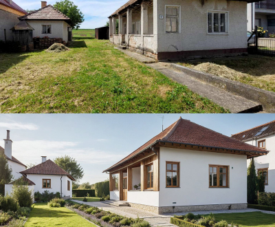 Sale Family house, Family house, ulica, Veľký Krtíš, Slovakia