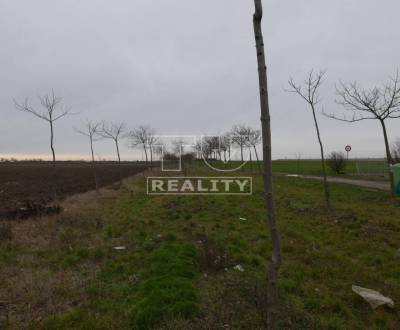 Sale Land plots - commercial, Bratislava - Jarovce, Slovakia