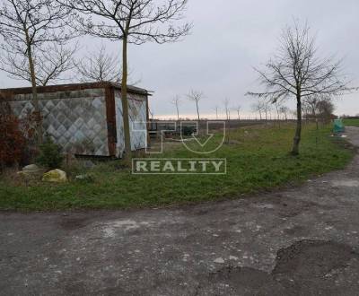 Sale Agrarian and forest land, Bratislava - Jarovce, Slovakia