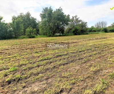 Sale Land – for living, Nové Zámky, Slovakia