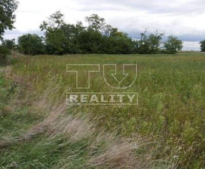 Sale Land – for living, Senec, Slovakia