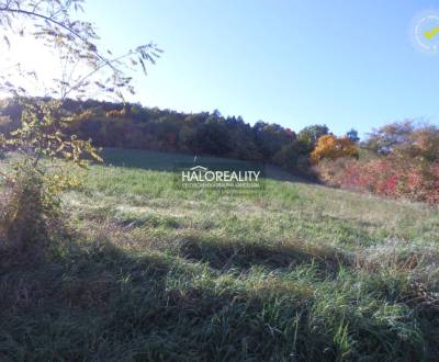 Sale Land – for living, Piešťany, Slovakia