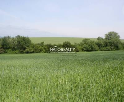 Sale Agrarian and forest land, Košice-okolie, Slovakia