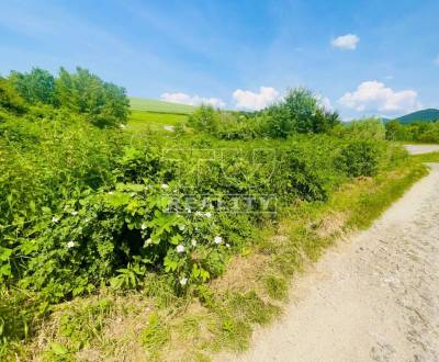 Sale Land – for living, Piešťany, Slovakia