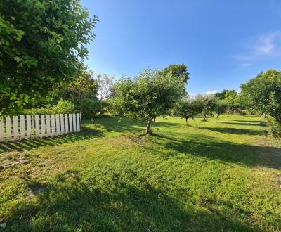 Sale Land – for living, Land – for living, Masníkovo, Dunajská Streda,