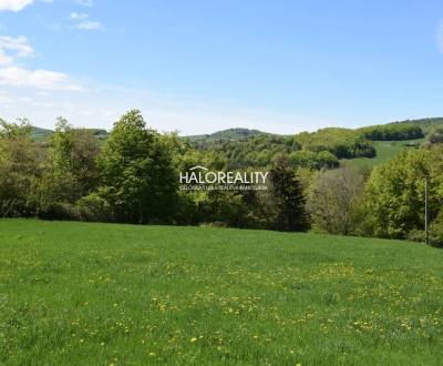 Sale Recreational land, Žarnovica, Slovakia