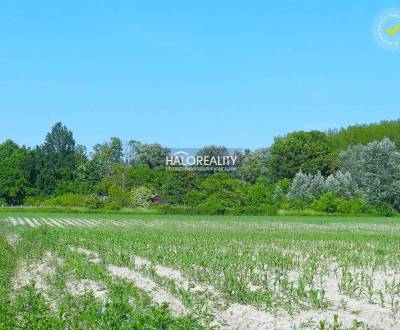 Sale Land – for living, Dunajská Streda, Slovakia