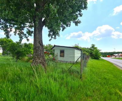 Sale Land – for living, Land – for living, Masníkovo, Dunajská Streda,