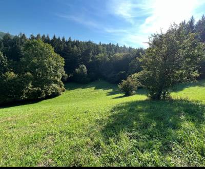 Sale Recreational land, Recreational land, Zbora, Púchov, Slovakia