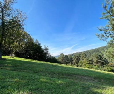 Sale Recreational land, Recreational land, Zbora, Púchov, Slovakia