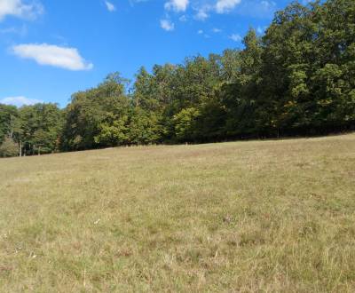 Sale Recreational land, Recreational land, Žiar nad Hronom, Slovakia