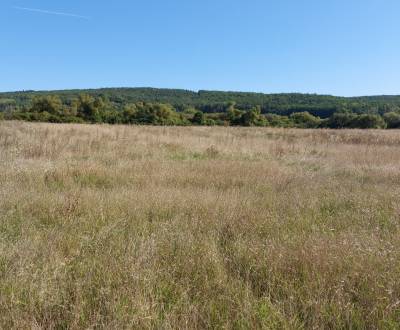 Sale Recreational land, Recreational land, Žiar nad Hronom, Slovakia