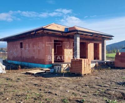 Sale Family house, Partizánske, Slovakia