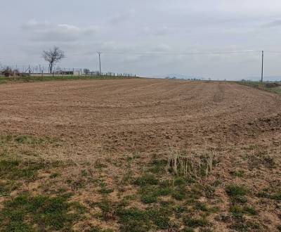 Sale Land – for living, Land – for living, Topoľčany, Slovakia