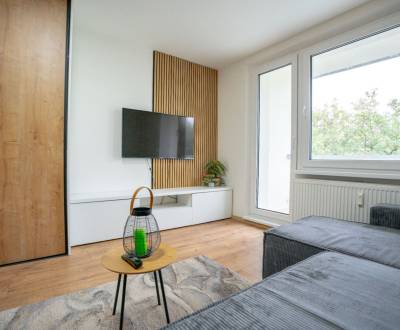 Rent Single studio, Single studio, Centrum, Ilava, Slovakia