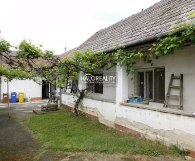 Sale Family house, Topoľčany, Slovakia