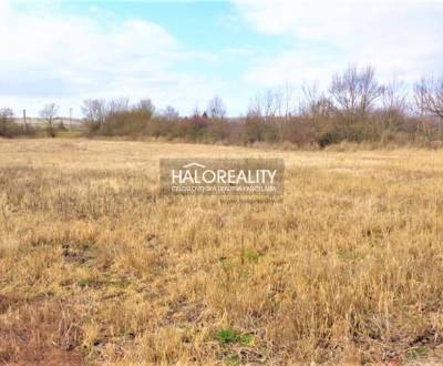 Sale Land – for living, Levice, Slovakia