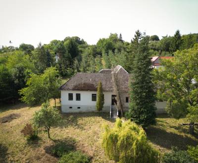 Sale Cottage, Cottage, Hrubá Strana, Nové Mesto nad Váhom, Slovakia