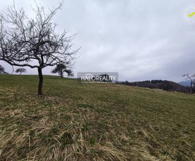 Sale Recreational land, Žarnovica, Slovakia