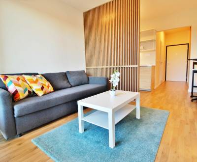 SLNECNICE - AIR-CONDITIONED and FURNISHED STUDIO with SUNNY BALCONY