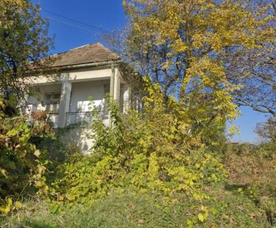 Sale Family house, Family house, Veľký Krtíš, Slovakia